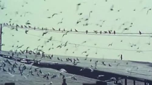 אין שמות על הדלתות Bild 1