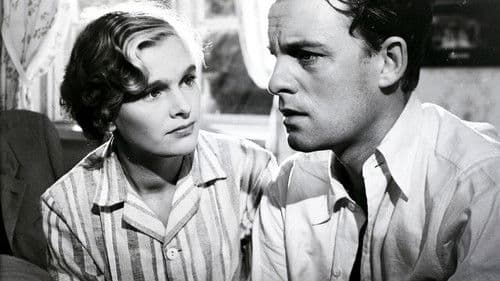 Den vita katten Bild 1