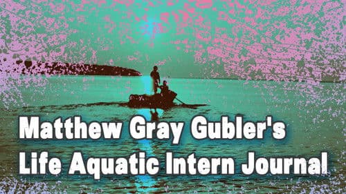 Matthew Gray Gubler's Life Aquatic Intern Journal Bild 1