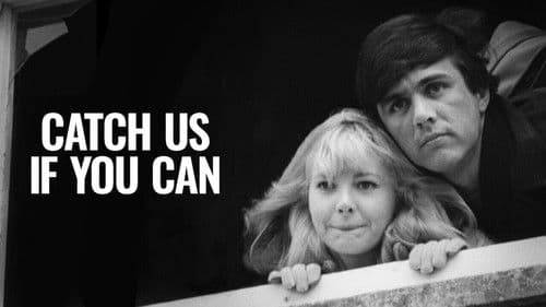 Fangt uns wenn ihr könnt! Bild 3