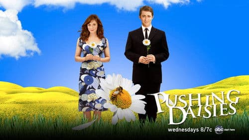 Pushing Daisies Bild 3