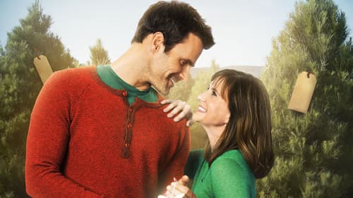 The Christmas Ornament Bild 1