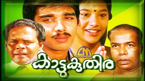 കാട്ടുകുതിര Bild 1