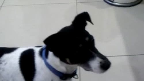 Moment To Moment Bild 2