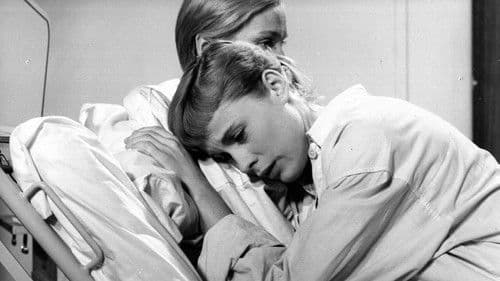 Nahe dem Leben Bild 1