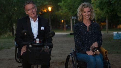 Liebe bringt alles ins Rollen Bild 8