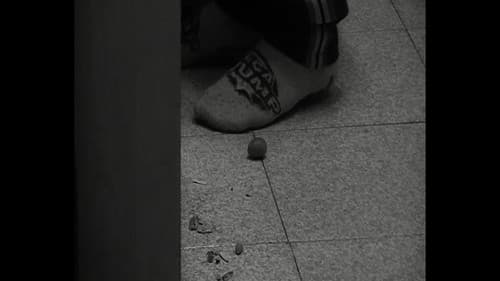 La oliva cuántica Bild 3