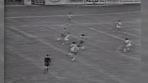 Llegando a casa Bild 2