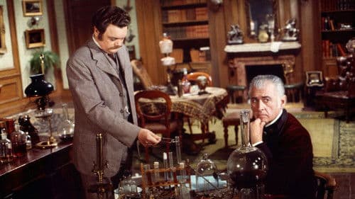 Der Hund von Baskerville Bild 1