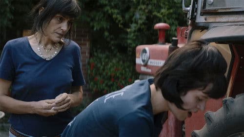 Viel Nebel im November Bild 1