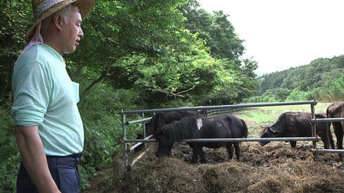 劇場版 ナオト、いまもひとりっきり Bild 3