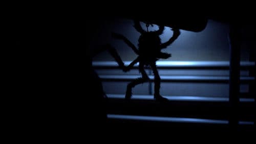 Night at the Cinema Bild 2