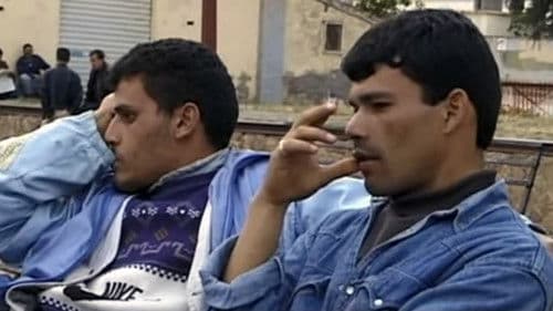 Algérie, La vie quand même Bild 4