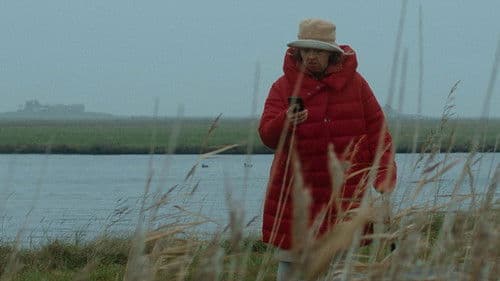 Flut und Ebbe Bild 2