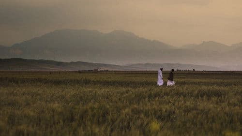 Wild is the Spring Bild 1