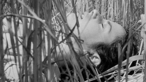 La guerra di Valeria Bild 1