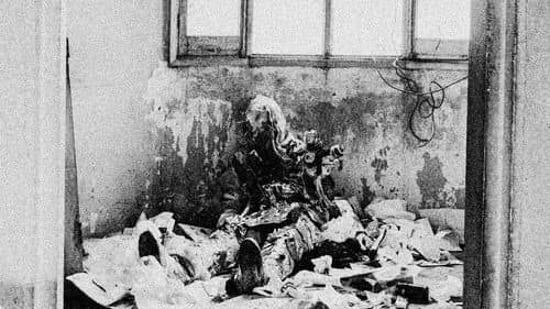 Basura Bild 6