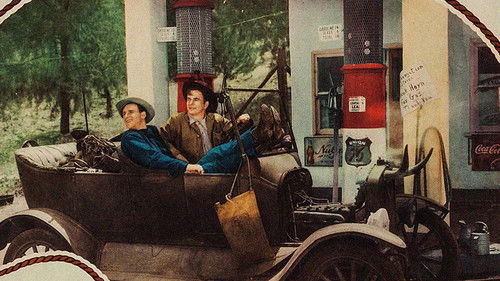 Prairie Chickens Bild 1