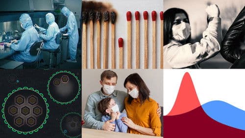 Coronavirus, Explained Bild 2