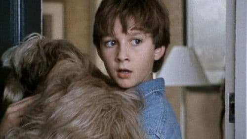 Frühstück mit Einstein Bild 1