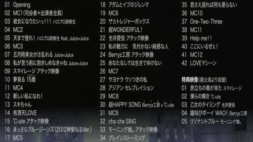 Hello! Project 2013 Spring 野音プレミアムLIVE ～外フェス～ Bild 1