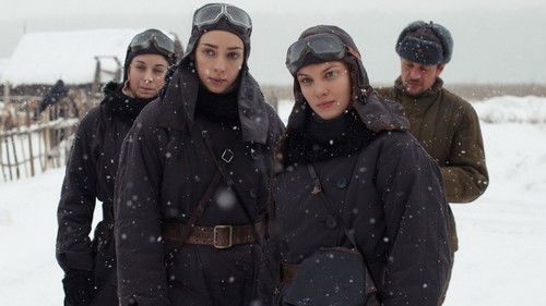 Ночные ласточки Bild 2