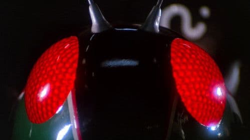 仮面ライダーBLACK Bild 6