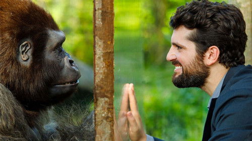 Attenti al gorilla Bild 3