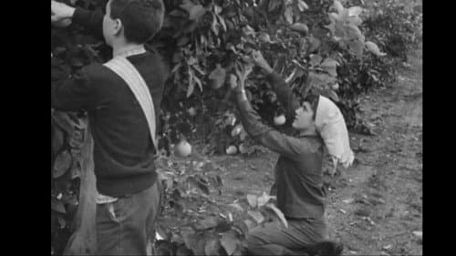 יומן הקיבוץ המאוחד מס' 28 - גדות לירדן Bild 2