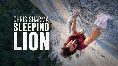 Sleeping Lion Bild 2