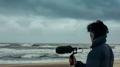 Lo que trajo la tormenta Bild 2