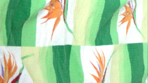 Milostné písně Bild 2