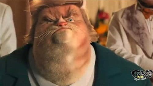 شهر گربه‌ها Bild 1