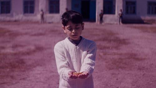 Mənim sehrli dünyam Bild 2