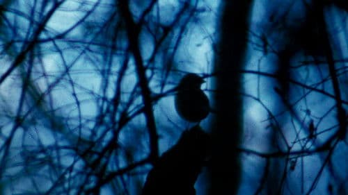 The Legend of Boggy Creek Bild 7