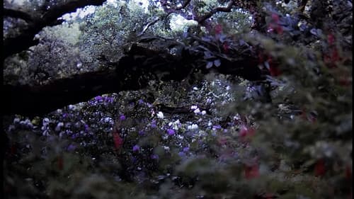 Cecilia - hemmungslos und unersättlich Bild 3