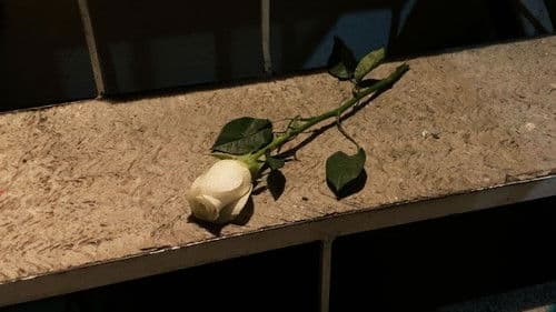 El Rosado Encanto Bild 2