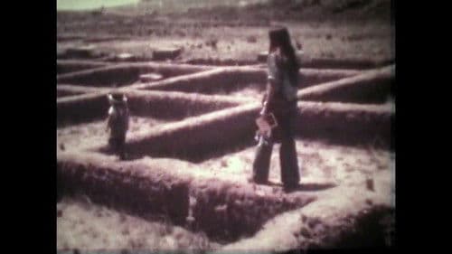 A Longa Viagem do Ônibus Amarelo Bild 7