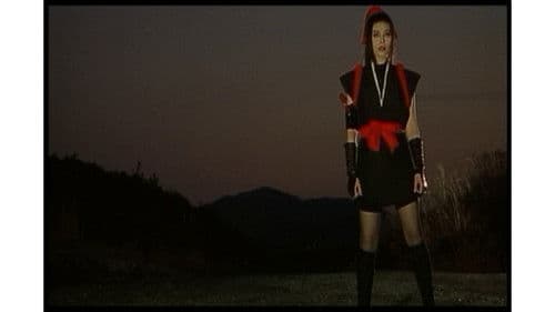 Kunoichi - Lady Ninja Bild 8
