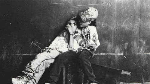 Poner a actuar pájaros Bild 1