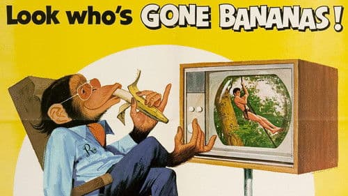 Der barfüßige Generaldirektor Bild 2