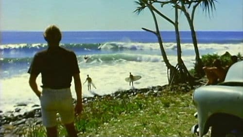 Children of the Sun Bild 1