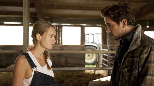 Die Büffel sind los! Bild 1