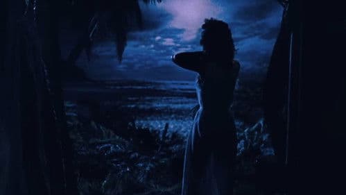 Die Piratenkönigin Bild 2