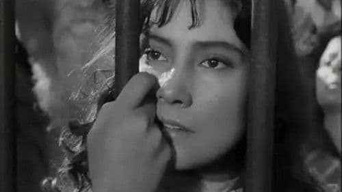 Ein Brief, der nie ankam Bild 5