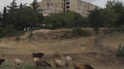 ქართლის ცხოვრება Bild 4