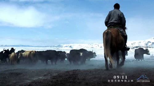 洛桑的家事 Bild 1