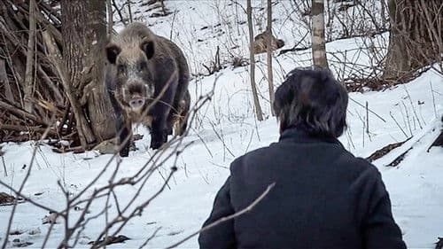 멧돼지 사냥 Bild 1