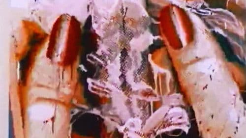 100 Food Porn Bild 3