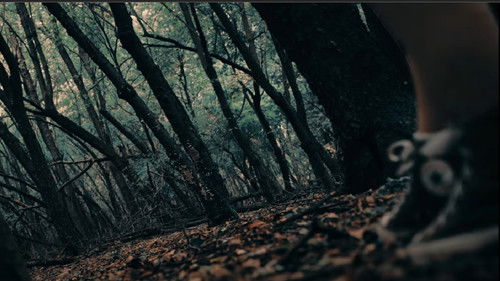 Alice was my name Bild 5